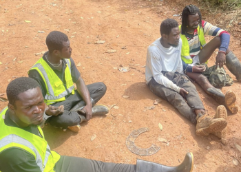 Forestry commission raids Galamsey camp in Subri Forest Reserve, arrests 4 miners amid growing environmental concerns